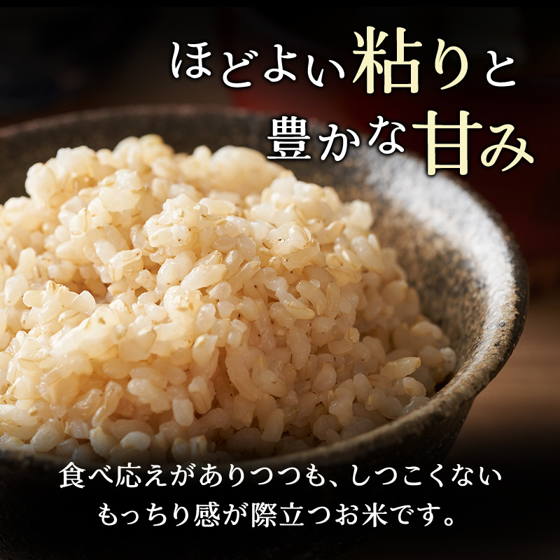 12ヵ月 定期便 ホクレンゆめぴりか（玄米6kg（3kg×2袋））ANA機内食採用 お米 米 ごはん 玄米 国産 北海道 こめ コメ [JA新おたる]