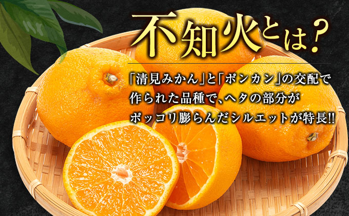 宮崎県日南市のふるさと納税 先行予約 不知火 計6kg以上 黒箱 化粧箱入り 期間限定 数量限定 果物 フルーツ くだもの 柑橘 みかん 令和8年発送 みかんジュース デザート おやつ 人気 おすすめ 国産 食品 ギフト 贈り物 贈答 ご褒美 お祝い 記念日 宮崎県 日南市 送料無料_D92-24