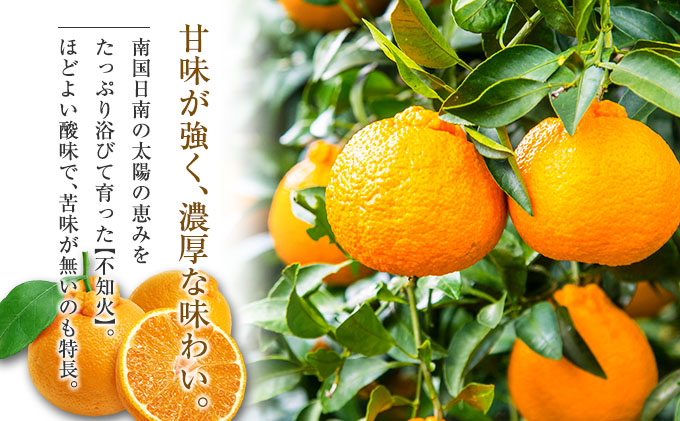 宮崎県日南市のふるさと納税 先行予約 不知火 計6kg以上 黒箱 化粧箱入り 期間限定 数量限定 果物 フルーツ くだもの 柑橘 みかん 令和8年発送 みかんジュース デザート おやつ 人気 おすすめ 国産 食品 ギフト 贈り物 贈答 ご褒美 お祝い 記念日 宮崎県 日南市 送料無料_D92-24