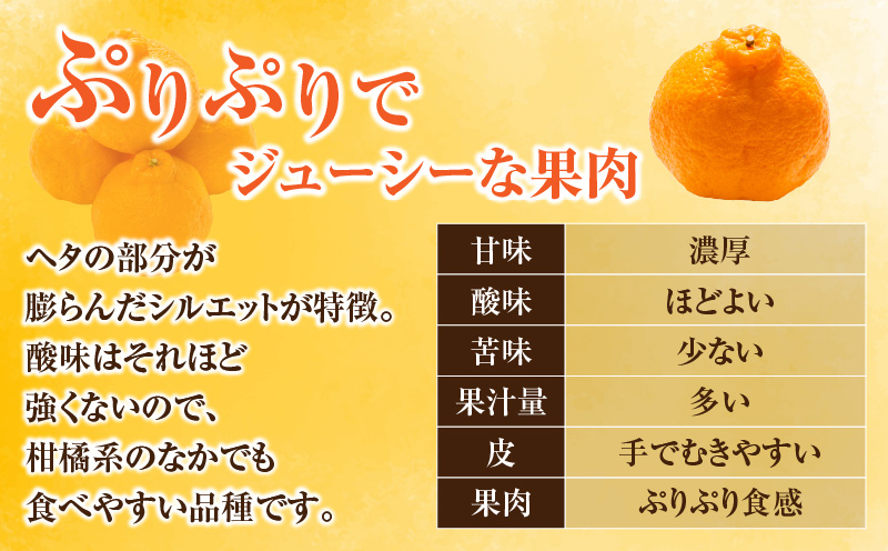 宮崎県日南市のふるさと納税 先行予約 不知火 計6kg以上 黒箱 化粧箱入り 期間限定 数量限定 果物 フルーツ くだもの 柑橘 みかん 令和8年発送 みかんジュース デザート おやつ 人気 おすすめ 国産 食品 ギフト 贈り物 贈答 ご褒美 お祝い 記念日 宮崎県 日南市 送料無料_D92-24