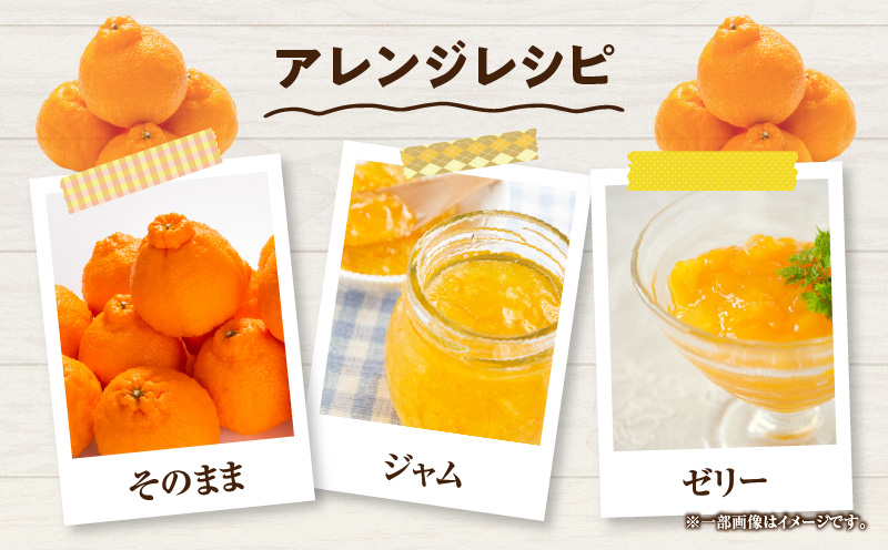 宮崎県日南市のふるさと納税 先行予約 不知火 計6kg以上 黒箱 化粧箱入り 期間限定 数量限定 果物 フルーツ くだもの 柑橘 みかん 令和8年発送 みかんジュース デザート おやつ 人気 おすすめ 国産 食品 ギフト 贈り物 贈答 ご褒美 お祝い 記念日 宮崎県 日南市 送料無料_D92-24