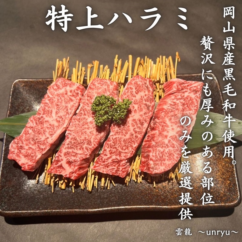 定期便 3ヶ月 厳選 特上 ハラミ (横隔膜) 各回合計約900g【雲龍焼肉たれ付】 雲龍  岡山県産 肉 お肉 牛肉 和牛 焼肉 牛ハラミ 3回 お楽しみ 