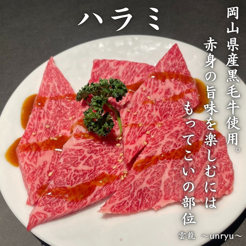 定期便 3ヶ月 人気 焼肉 セット 各回合計約1,030g カルビ ハラミ 牛タン【雲龍焼肉たれ付】 雲龍  岡山県産 肉 お肉 牛肉 和牛 牛カルビ 牛ハラミ 1030g 焼肉セット 焼き肉 3回 お楽しみ 