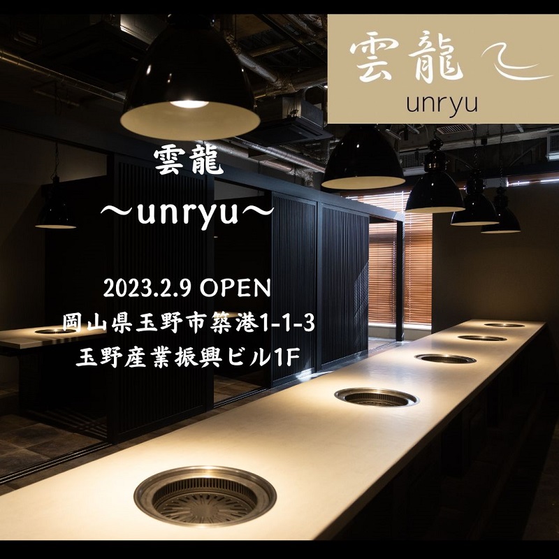 定期便 3ヶ月 人気 焼肉 セット 各回合計約1,030g カルビ ハラミ 牛タン【雲龍焼肉たれ付】 雲龍  岡山県産 肉 お肉 牛肉 和牛 牛カルビ 牛ハラミ 1030g 焼肉セット 焼き肉 3回 お楽しみ 