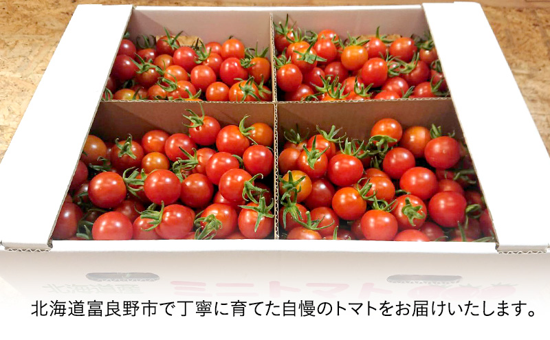 【2026年7月より発送】北海道 富良野市産 完熟ミニトマト（キャロル10）約2kg トマト 甘い 野菜 新鮮 数量限定 先着順【藏ファーム】