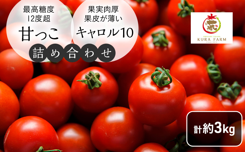 ykCxǖszy2026N7蔭zkC xǖsY n~jg}g 2 v3kg Â L10 e1.5kg×2 lߍ킹 g}g Â  VN ʌ 撅yUt@[z