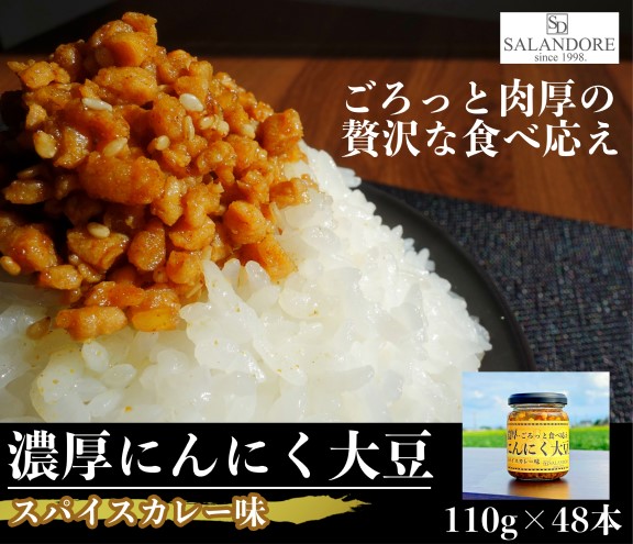 濃厚にんにく大豆_スパイスカレー味_48本セット 加工食品 豆類 大豆ミート 独自製法 高たんぱく 食物繊維 ミネラル ビタミン オリジナルの味付け 