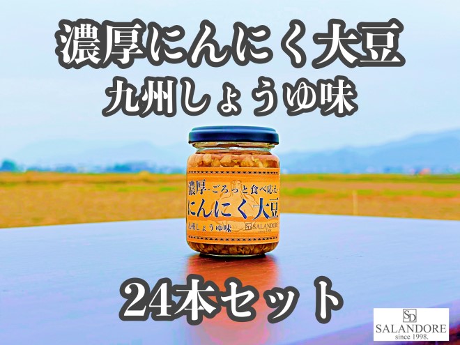 濃厚にんにく大豆_九州しょうゆ味_24本セット 加工食品 豆類 大豆ミート 独自製法 高たんぱく 食物繊維 ミネラル ビタミン オリジナルの味付け プレーン 