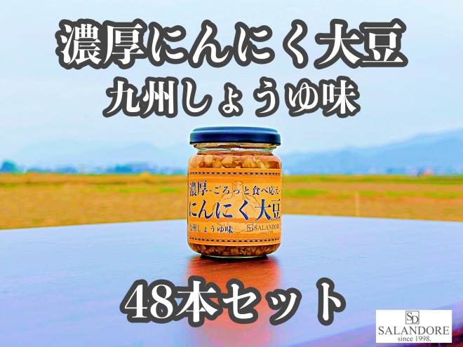 濃厚にんにく大豆_九州しょうゆ味_48本セット 加工食品 豆類 大豆ミート 独自製法 高たんぱく 食物繊維 ミネラル ビタミン オリジナルの味付け プレーン 