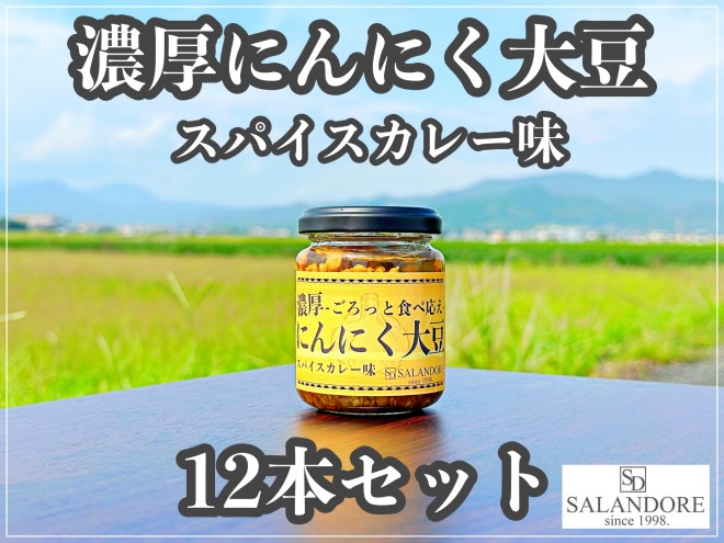 濃厚にんにく大豆_スパイスカレー味_12本セット 加工食品 豆類 大豆ミート 独自製法 高たんぱく 食物繊維 ミネラル ビタミン オリジナルの味付け 