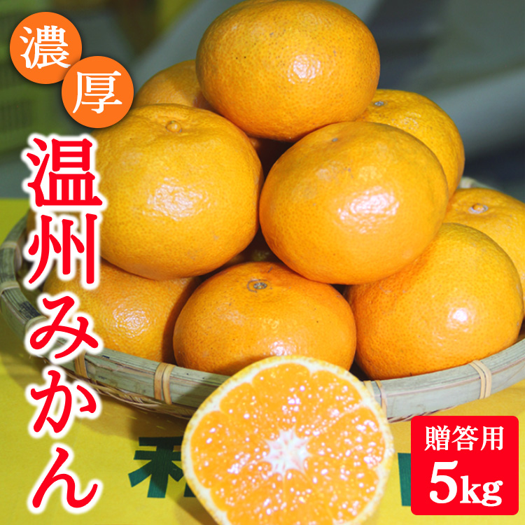 濃厚温州みかん贈答用5kg（和歌山天田みかん）◆ みかんの産地和歌山　北村農園直送