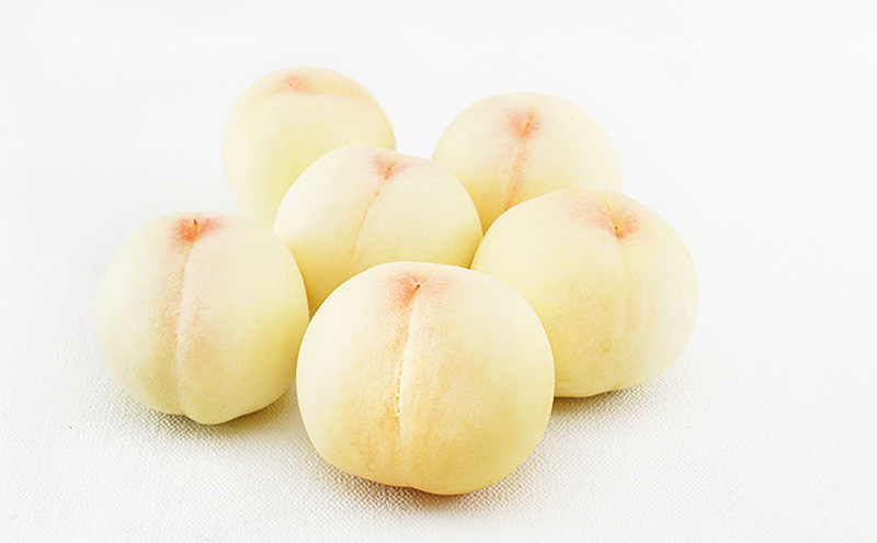 桃 ぶどう 定期便 （隔月） 2026年 先行予約 晴れの国 岡山の フルーツ 定期便 3回 コース 白桃 もも 葡萄 シャイン マスカット 葡萄 岡山産 国産 フルーツ 果物 ギフト 