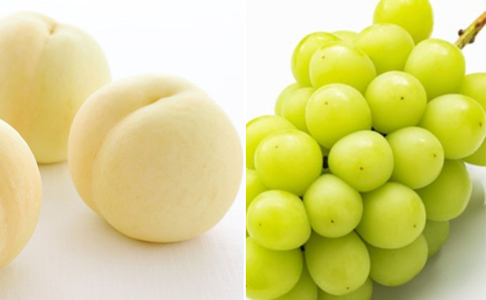 フルーツ 定期便 2026年 先行予約 晴れの国 岡山 の フルーツ 定期便 6回コース 桃 ぶどう 梨 岡山県産 国産 フルーツ 果物 ギフト 