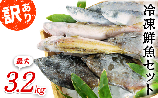 ykCzy2025N11{zkCY ⓀNZbg ő3.2kg utvWFNgIv ς CN CY n Ԍ