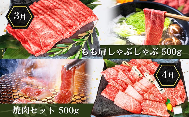 香川県産黒毛和牛オリーブ牛【6ヶ月お届け】小家族用 焼肉 バーベキュー 牛肉 お肉 