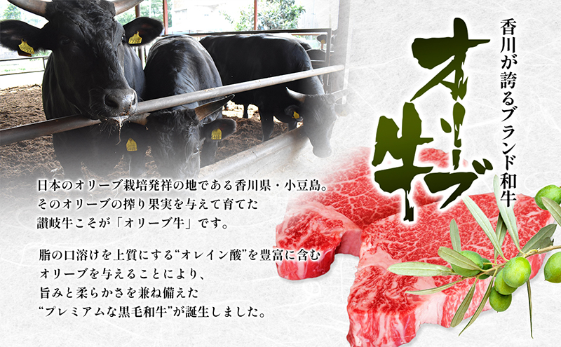 香川県産黒毛和牛オリーブ牛【6ヶ月お届け】小家族用 焼肉 バーベキュー 牛肉 お肉 