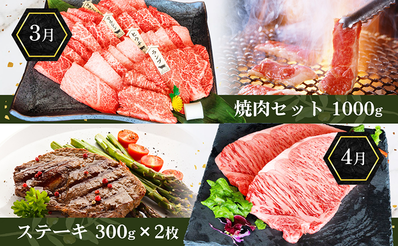 香川県産黒毛和牛オリーブ牛【6ヶ月お届け】大家族用 お肉 牛肉 焼肉 バーベキュー 