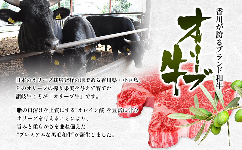 香川県産黒毛和牛オリーブ牛【6ヶ月お届け】大家族用 お肉 牛肉 焼肉 バーベキュー 