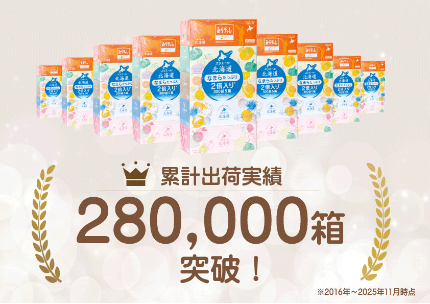 定期便 3ヵ月連続お届け エリエール 収納に便利 コンパクト 〈アソート〉 なまらたっぷり 大容量 トイレットペーパー ティッシュ トイレ ボックスティッシュ ひとり暮らし 紙 常備品 消耗品 日用品 生活必需品