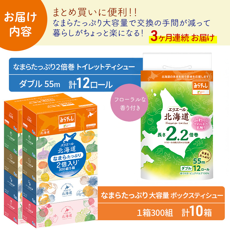 定期便 3ヵ月連続お届け エリエール 収納に便利 コンパクト [アソートJ] なまらたっぷり 大容量 トイレットペーパー ティッシュ トイレ ボックスティッシュ 防災 ひとり暮らし 紙 常備品 備蓄品 消耗品 日用品 生活必需品 送料無料 赤平市