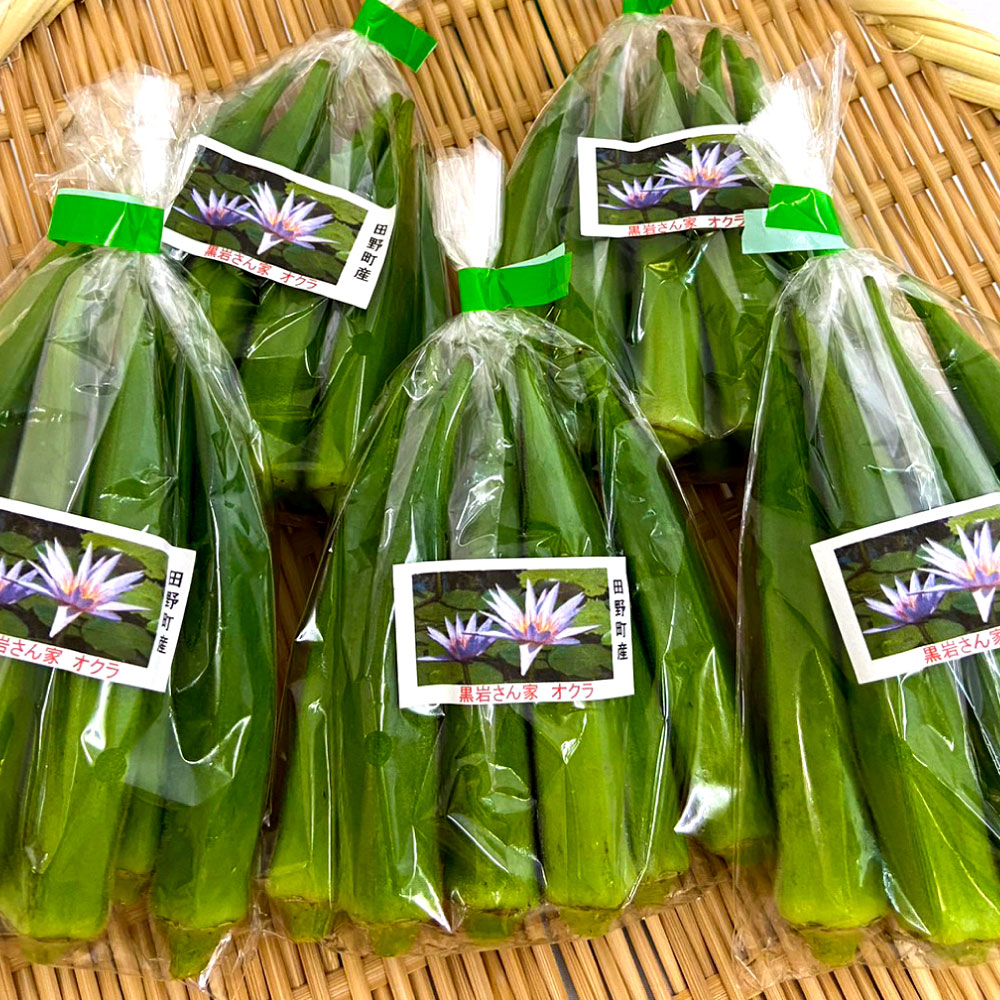 黒岩さん家のオクラ 1.5kg 1.5キロ オクラ 国産 おくら 国産オクラ