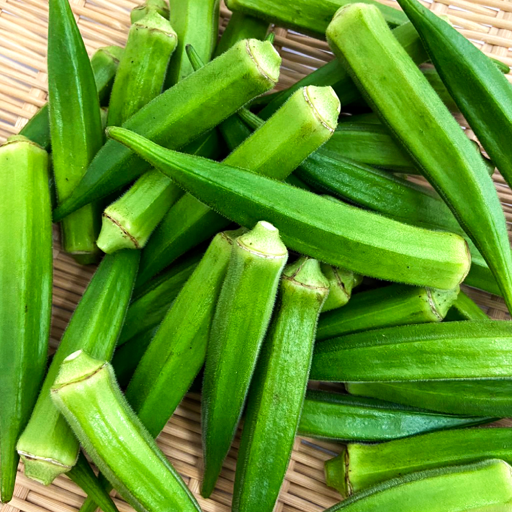 黒岩さん家のオクラ 1.5kg 1.5キロ オクラ 国産 おくら 国産オクラ
