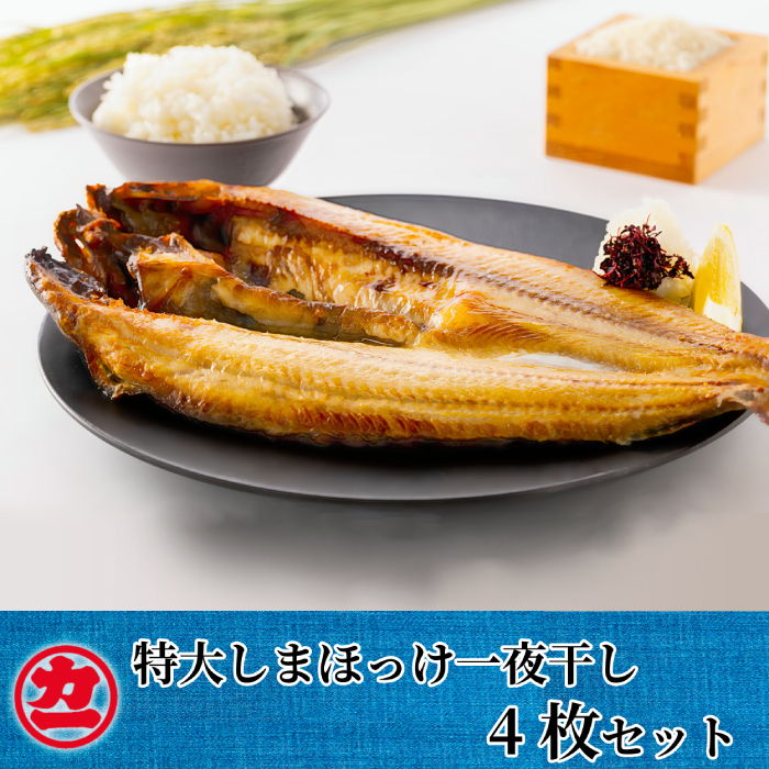【北海道紋別市】15-270 脂の乗った特大しまほっけの一夜干し4枚セット