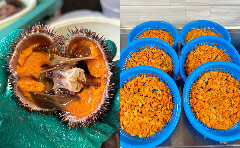 北海道 礼文島産 昆布〆 ムラサキウニ 100g こだわり 魚貝類 家族 旨味 凝縮 甘味 お酒 肴 ご飯 お正月 美味しい 