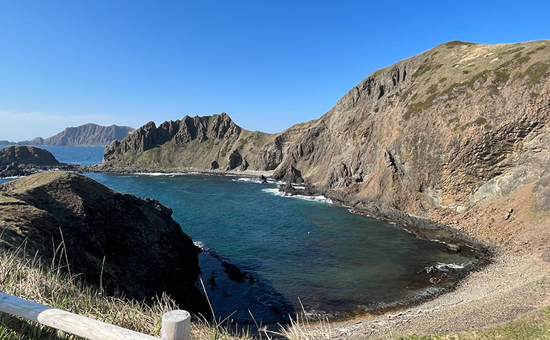 北海道 礼文島産 昆布〆 ムラサキウニ 100g こだわり 魚貝類 家族 旨味 凝縮 甘味 お酒 肴 ご飯 お正月 美味しい 