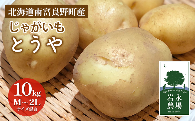 2025秋～発送】 北海道 南富良野町 じゃがいも「とうや」10kg(M