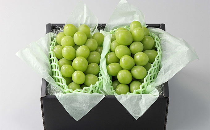 ぶどう 2026年 先行予約 【平均糖度20度】 農家こだわりの シャイン マスカット 2房 合計約1.2kg 贈答クラス ブドウ 葡萄 岡山県産 国産 フルーツ 果物 ギフト 【 Nini farm 農家 直送 】 