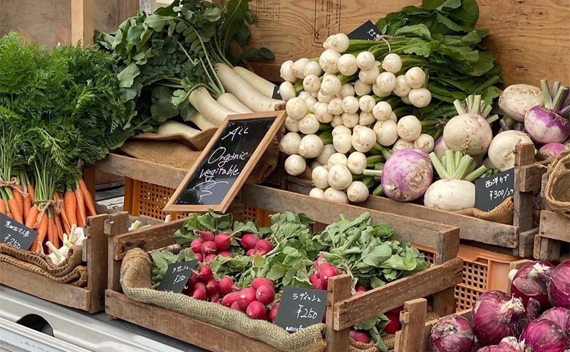 自然栽培 朝日米 2キロ＋ 旬 の 野菜 6～8品 (栽培期間中農薬不使用) 詰め合わせ 田畑のごちそう便 