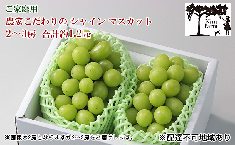 �y���R���ʖ�s�z�Ԃǂ� 2026�N ��s�\��  �y���ϓ��x20�x�z���ƒ�p �_�Ƃ������� �V���C�� �}�X�J�b�g 2�`3�[ ���v��1.2kg �u�h�E ���� ���R���Y ���Y �t���[�c �ʕ� �y Nini farm �_�� ���� �z ���R�̂Ԃǂ� �f�U�[�g