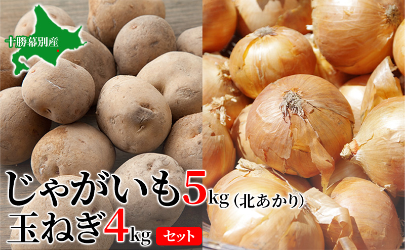 じゃがいも5kg・玉ねぎ4kgセット（北あかり）【十勝幕別 北海道ホープランド農場】 野菜 玉ねぎ セット 詰合せ 