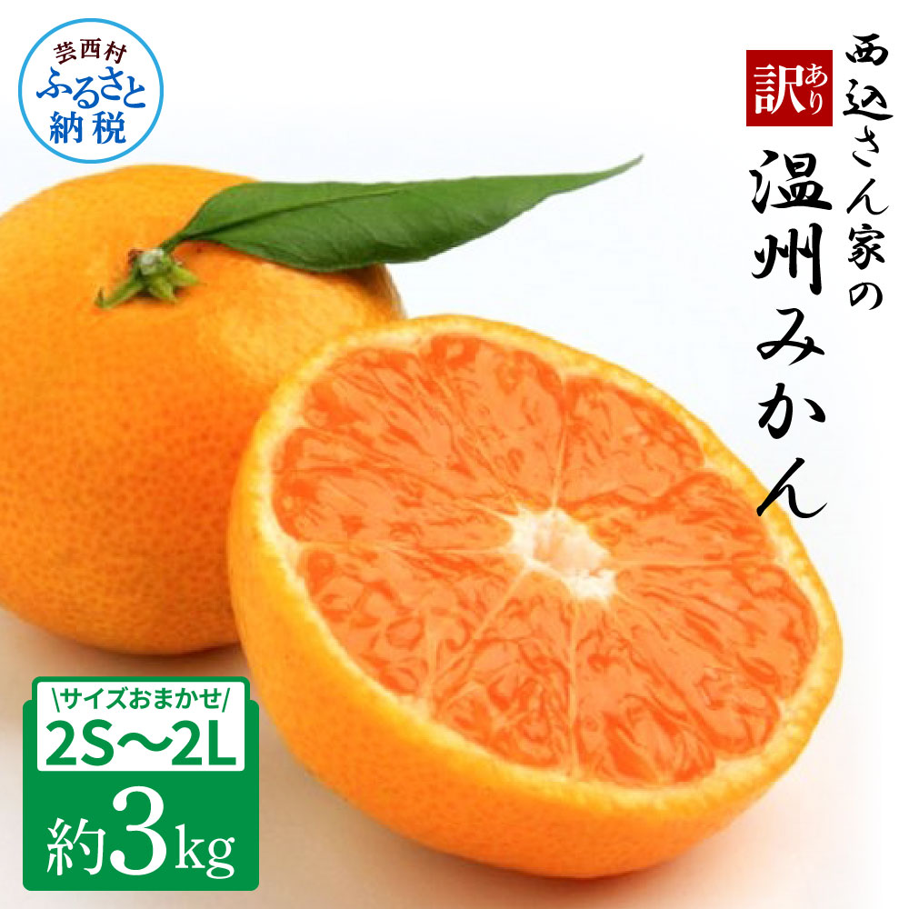 西込さん家の温州みかん 約3kg・サイズおまかせ(2S〜2L) ワケあり品(外皮にシミ・傷あり) 3キロ 柑橘 蜜柑 果物 フルーツ 訳あり 家庭用 自宅用 常温 数量限定 配送可能時期12月末まで