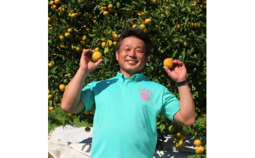 西込さん家の温州みかん 約3kg・サイズおまかせ(2S～2L) ワケあり品(外皮にシミ・傷あり) 3キロ 柑橘 蜜柑 果物 フルーツ 訳あり 家庭用 自宅用 常温 数量限定 配送可能時期12月末まで