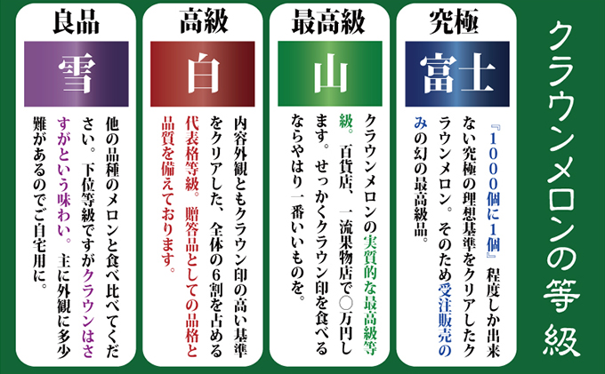 静岡県浜松市のふるさと納税 訳あり メロン クラウンメロン 2玉 フルーツ 果物 くだもの 高級フルーツ 高級果物 季節のフルーツ 季節の果物 旬のフルーツ 旬の果物 マスクメロン 青肉 めろん 静岡メロン 訳アリ 静岡 静岡県 浜松市 【配送不可：離島】
