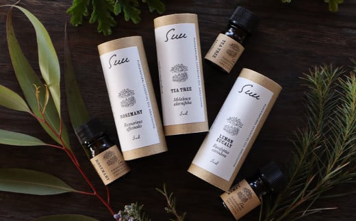 yɌWHszWHYGbZVICSuuR{ AZbg