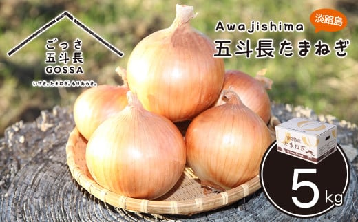 yɌWHszܓl܂˂ 5kg@@[ʂ˂ WH ʔK]