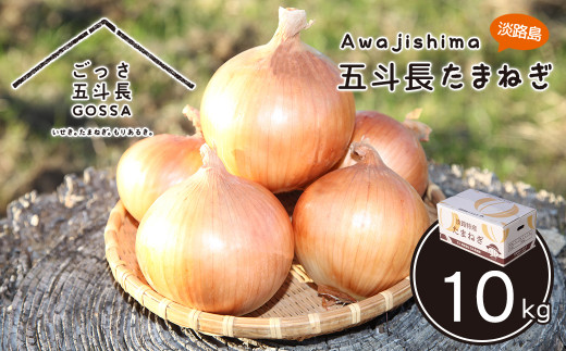 yɌWHszܓl܂˂ 10kg@@[ʂ˂ WH ʔK]