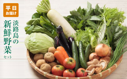 yɌWHszWH̐VN؃Zbgy͂z@؃Zbg