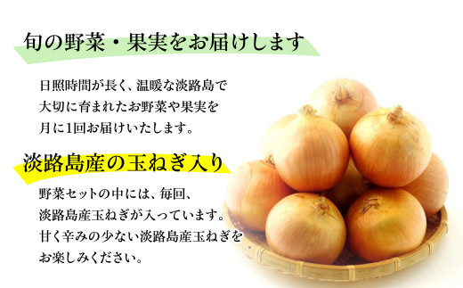 兵庫県淡路市のふるさと納税 淡路島の新鮮野菜セット【平日お届け】　野菜セット