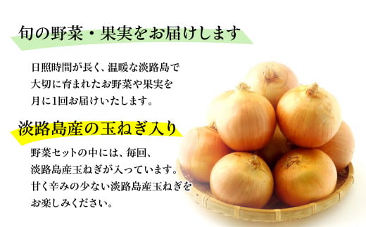 兵庫県淡路市のふるさと納税 淡路島の新鮮野菜セット【休日お届け】　野菜セット