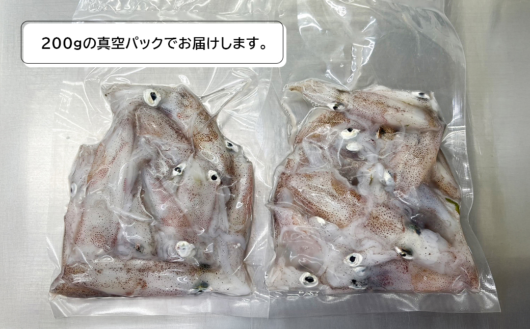 淡路島産ヒイカ 1キロ