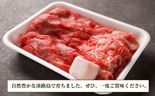 【訳あり】淡路牛すきやき・焼きしゃぶ用 600ｇ 【3D急速冷凍】　　[すき焼き しゃぶしゃぶ 牛肉 人気 おすすめ]