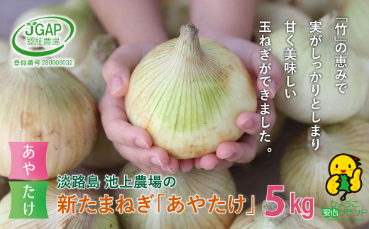 【新たまねぎ】淡路島 池上農場の「あやたけ」5kg【発送時期：2026年3月下旬～5月頃】　[新玉ねぎ]