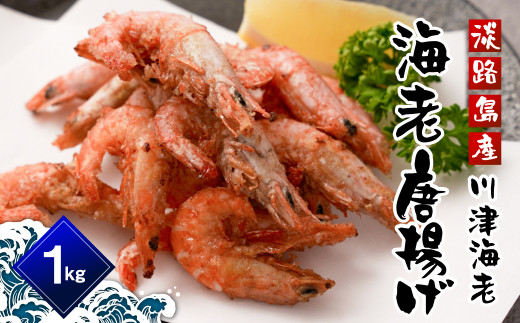 yɌWHszWHY CV̓giÃGr̓gj 1kg@ ⓀHi