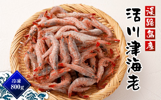 淡路島産 活川津エビ 800g　　[えび 海老]