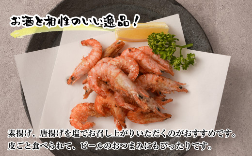 淡路島産 活川津エビ 800g　　[えび 海老]