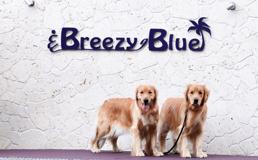 【兵庫県淡路市】貸別荘BreezyBlue淡路島 ご利用券【10月〜3月宿泊限定】(30,000円分)